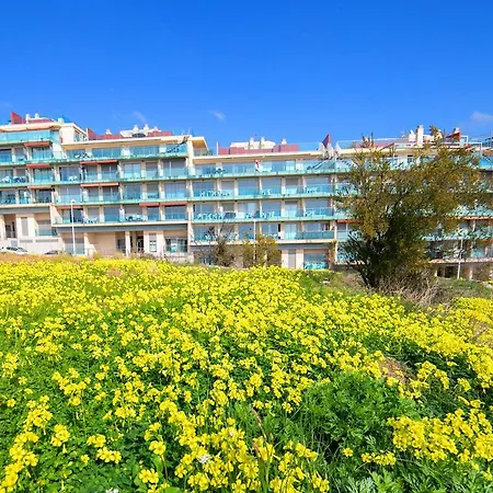 Homeincalpe Borumbot *