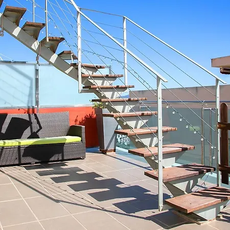 Homeincalpe Borumbot *