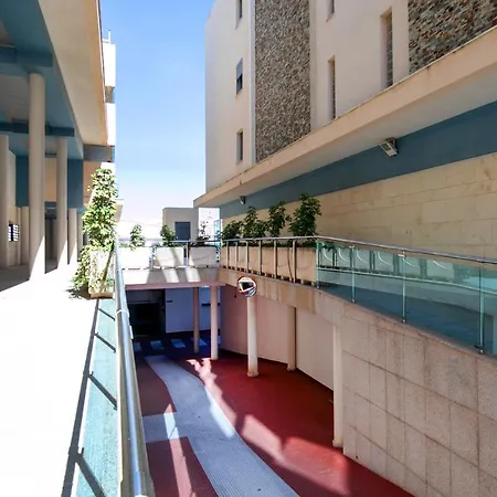 Homeincalpe Borumbot