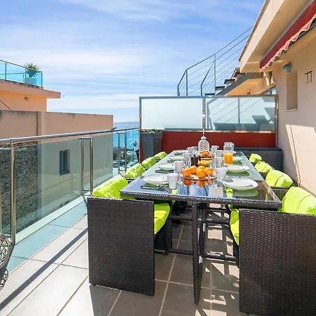 Homeincalpe Borumbot