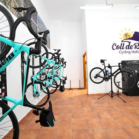 Homeincalpe Borumbot