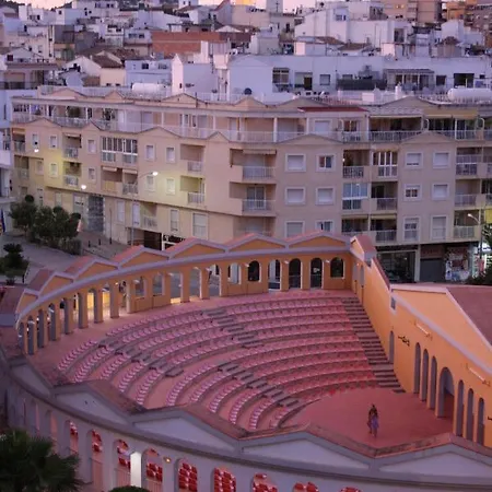 Homeincalpe Borumbot *