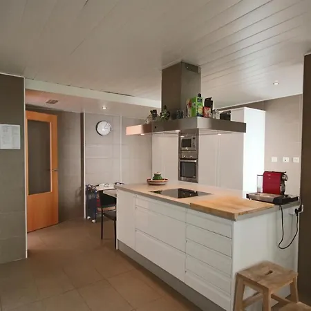 Homeincalpe Borumbot