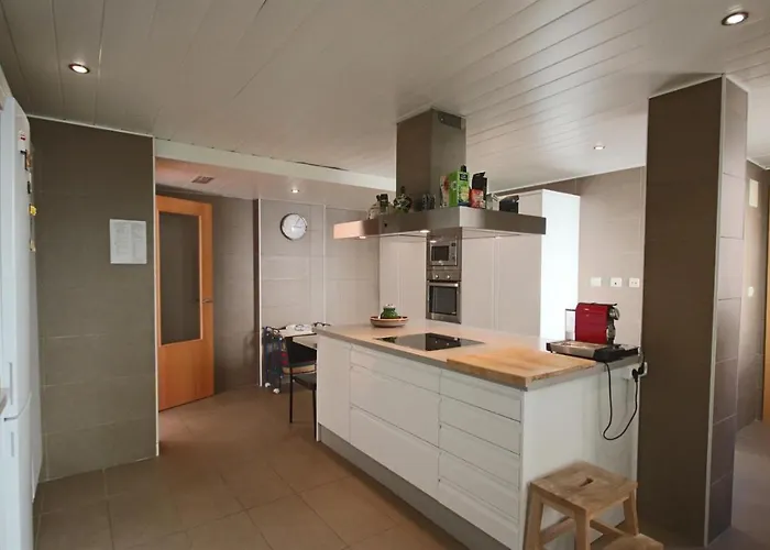 Homeincalpe Borumbot