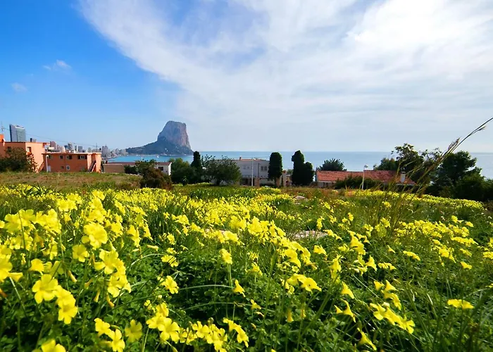Homeincalpe Borumbot Calp