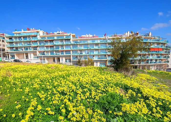 Homeincalpe Borumbot *