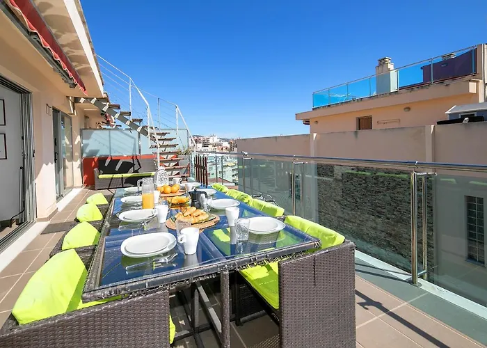 Homeincalpe Borumbot *