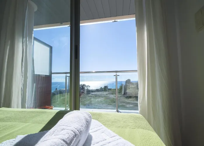 Homeincalpe Borumbot Calp