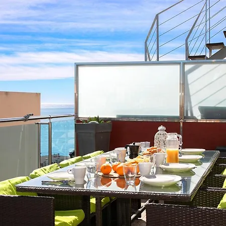 Homeincalpe Borumbot