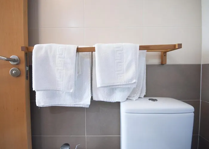 Homeincalpe Borumbot *